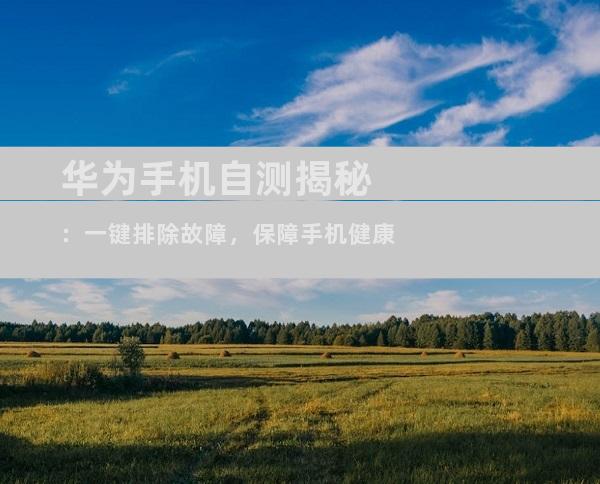 华为手机自测揭秘：一键排除故障，保障手机健康