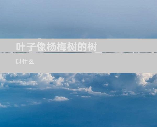 叶子像杨梅树的树叫什么