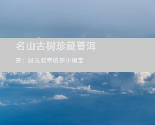 名山古树珍藏普洱茶：时光凝萃的茶中瑰宝