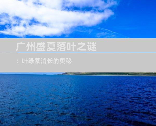 广州盛夏落叶之谜：叶绿素消长的奥秘