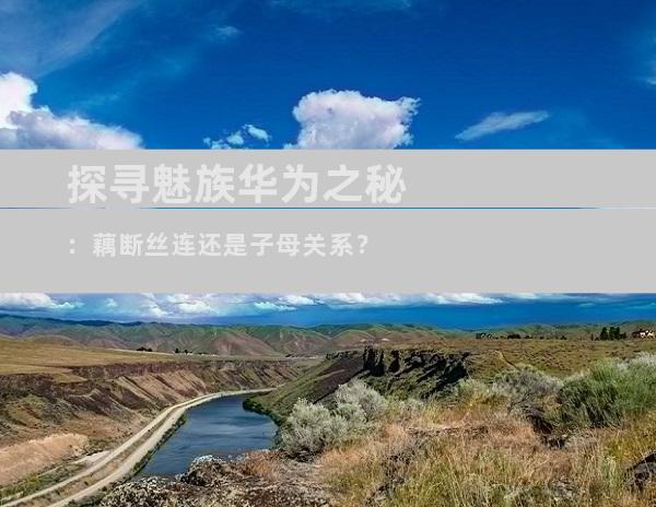 探寻魅族华为之秘：藕断丝连还是子母关系？