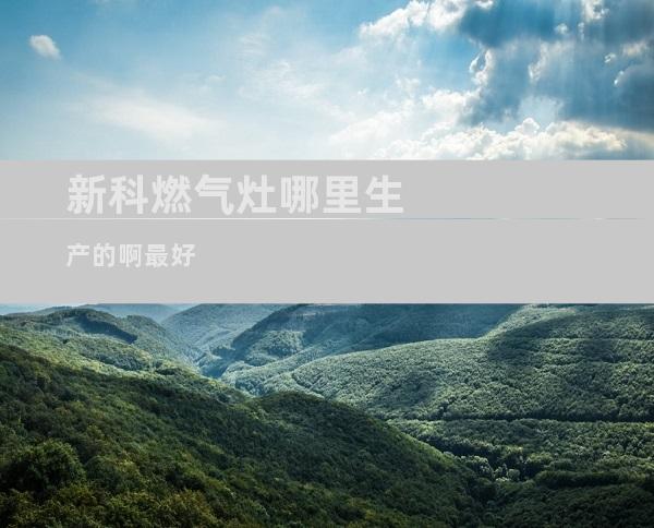 新科燃气灶哪里生产的啊最好