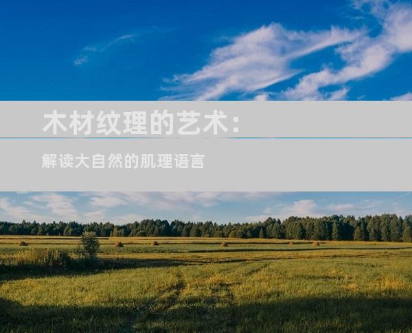 木材纹理的艺术：解读大自然的肌理语言