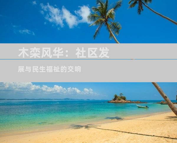 木栾风华：社区发展与民生福祉的交响