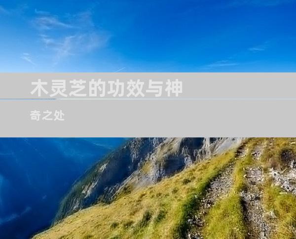 木灵芝的功效与神奇之处