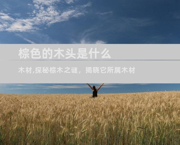 棕色的木头是什么木材,探秘棕木之谜，揭晓它所属木材