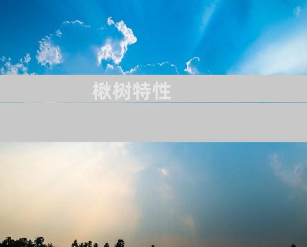 楸树特性