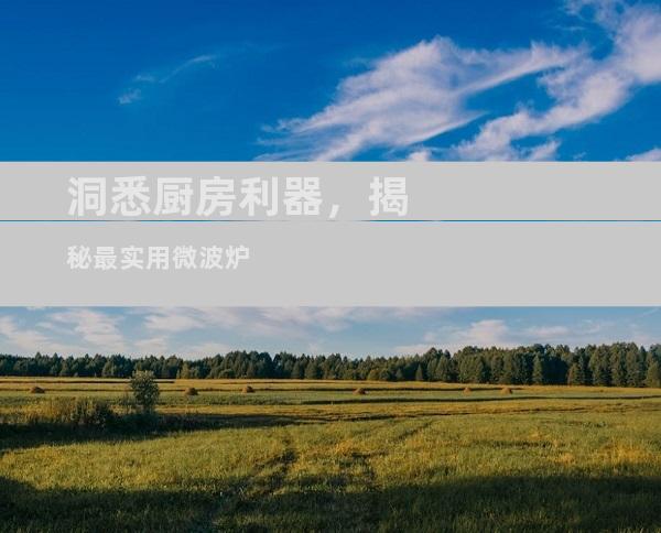洞悉厨房利器，揭秘最实用微波炉