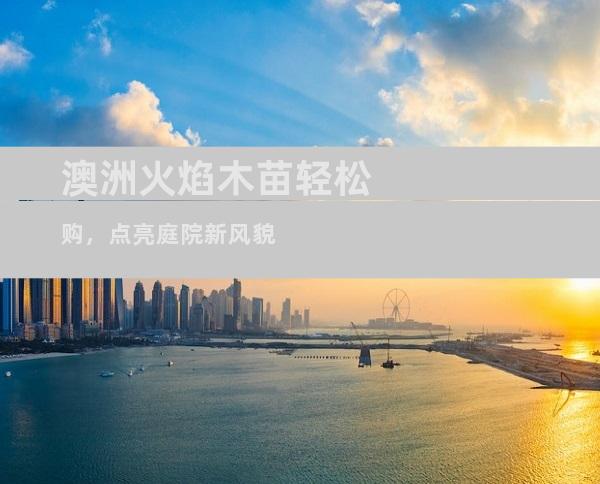澳洲火焰木苗轻松购，点亮庭院新风貌