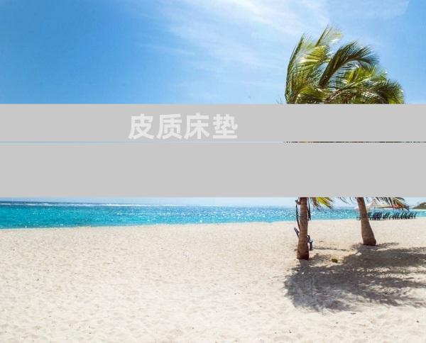皮质床垫