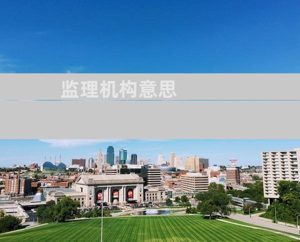 监理机构意思