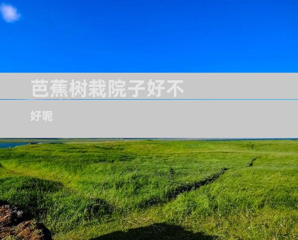 芭蕉树栽院子好不好呢