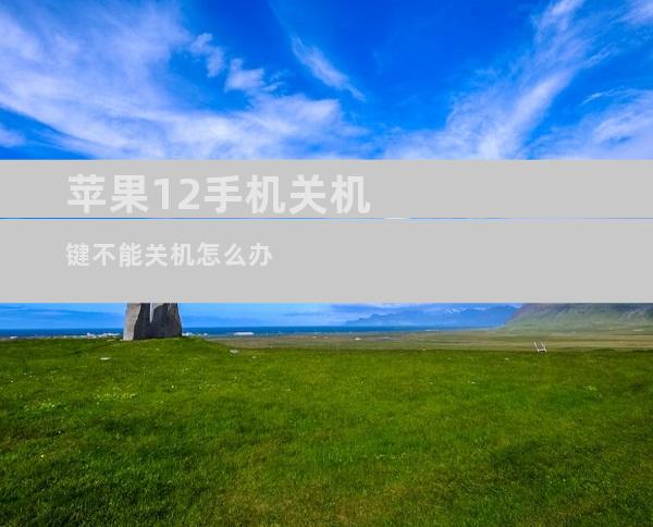 苹果12手机关机键不能关机怎么办