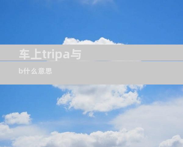 车上tripa与b什么意思