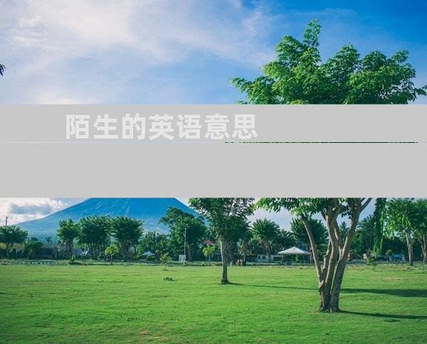 陌生的英语意思