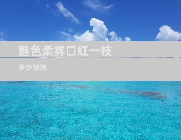 魅色柔雾口红一枝多少银两